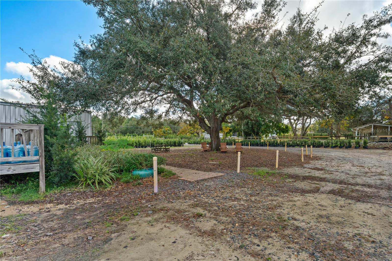 LAKE AVALON GROVES REP - Commercial Sale