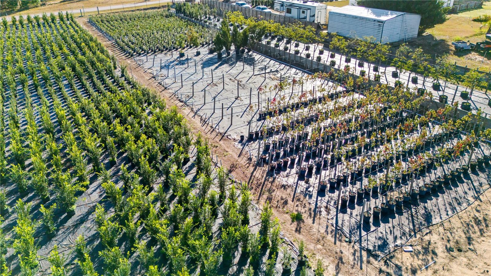 LAKE AVALON GROVES REP - Commercial Sale