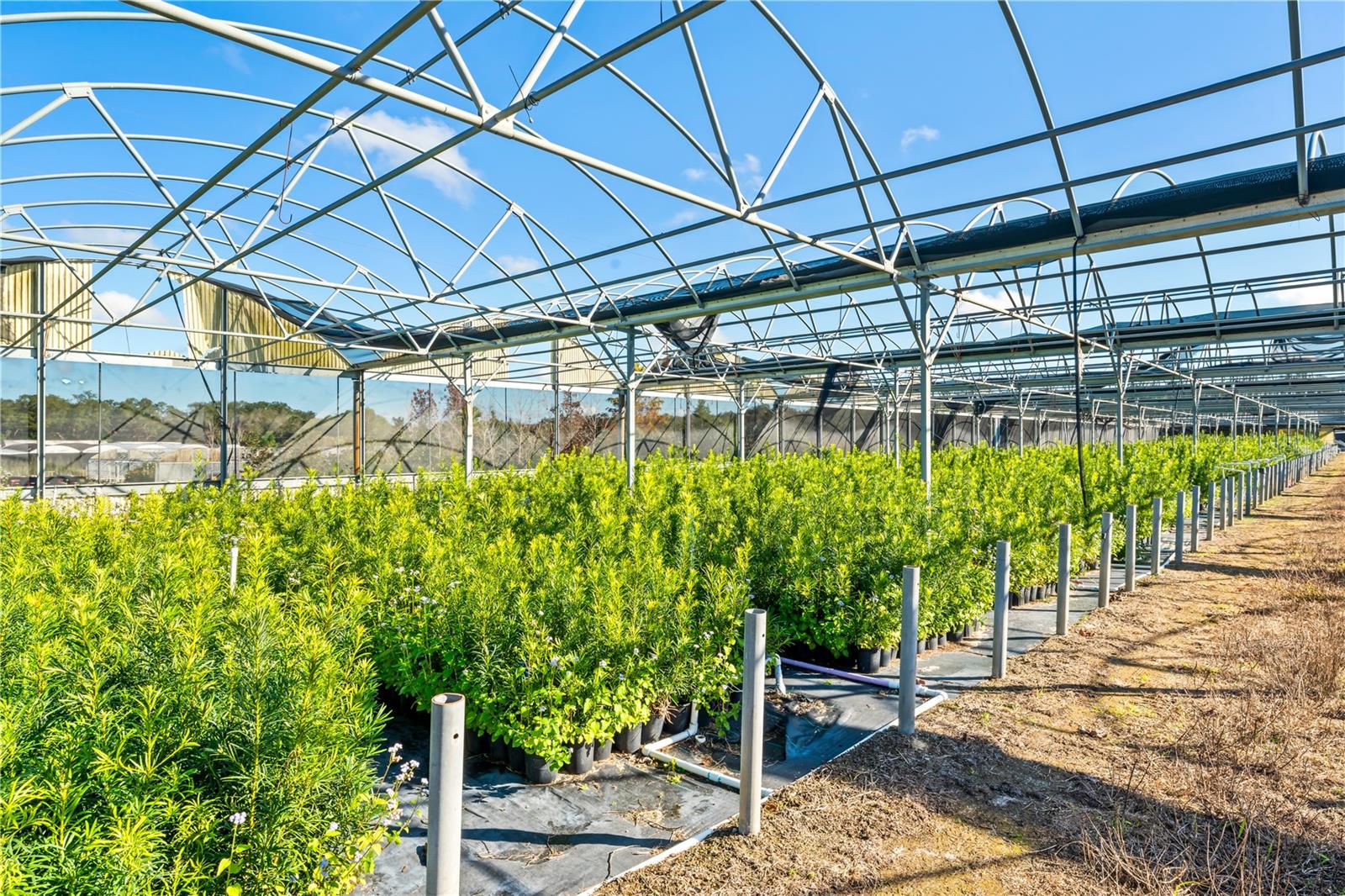 LAKE AVALON GROVES REP - Commercial Sale