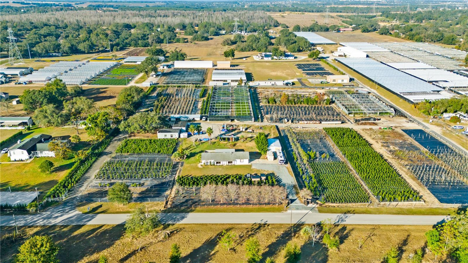 LAKE AVALON GROVES REP - Commercial Sale