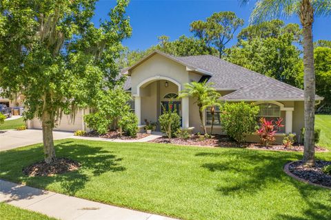 A home in SAINT CLOUD