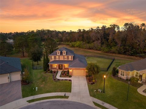 Tiny photo for 4126 SE 13th Terrace, Ocala, FL 34480 (MLS # GC535626)