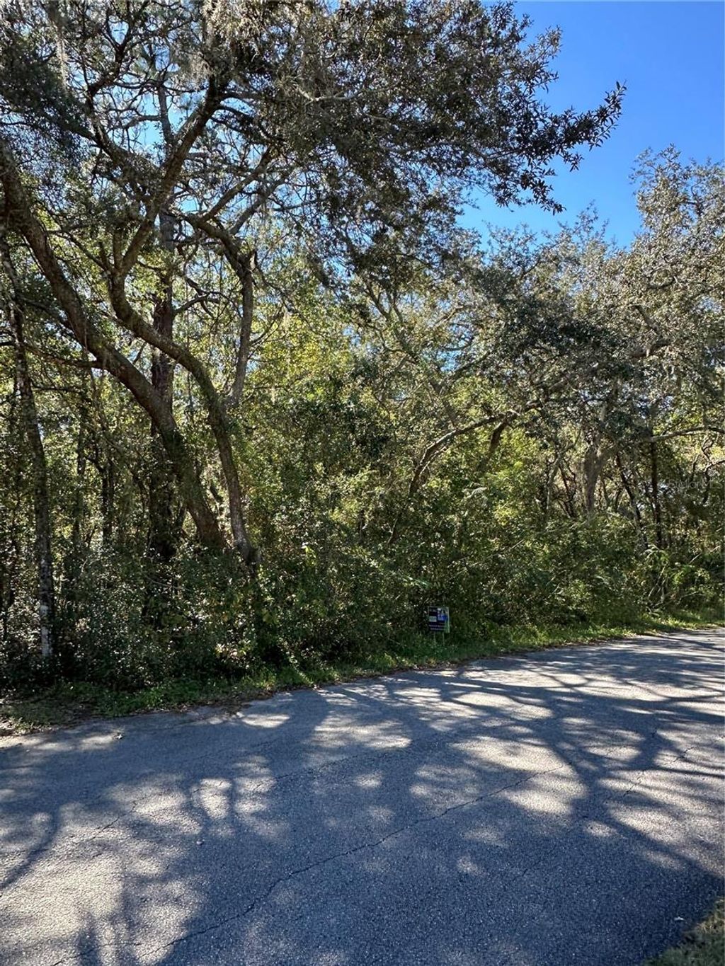 Photo of 3076 E Lloyd Street, Inverness, FL 34453 (MLS # OM712845)