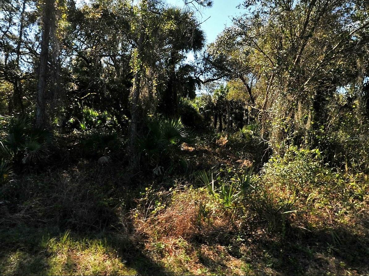 PORT CHARLOTTE SUB 24 - Land