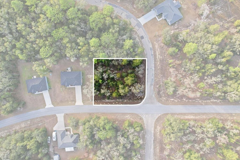 Photo of 10953 N Ocean Drive, Citrus Springs, FL 34434 (MLS # TB8468933)