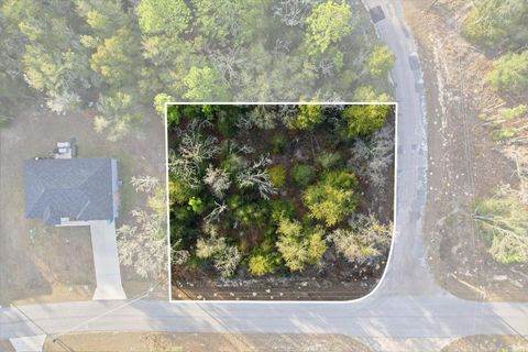 10953 N OCEAN DRIVE CITRUS SPRINGS FL 34434