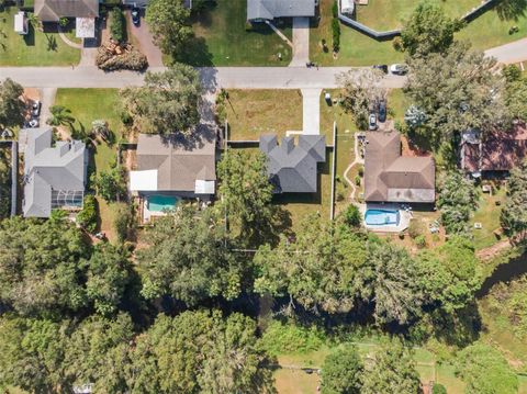 A home in LAND O LAKES