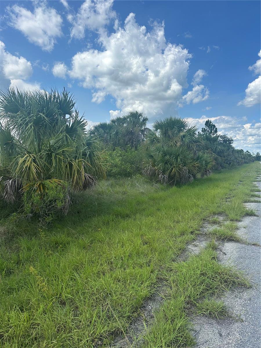 PORT CHARLOTTE SUB 46 - Land