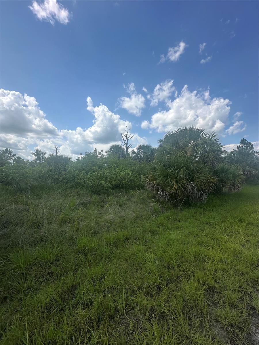 PORT CHARLOTTE SUB 46 - Land