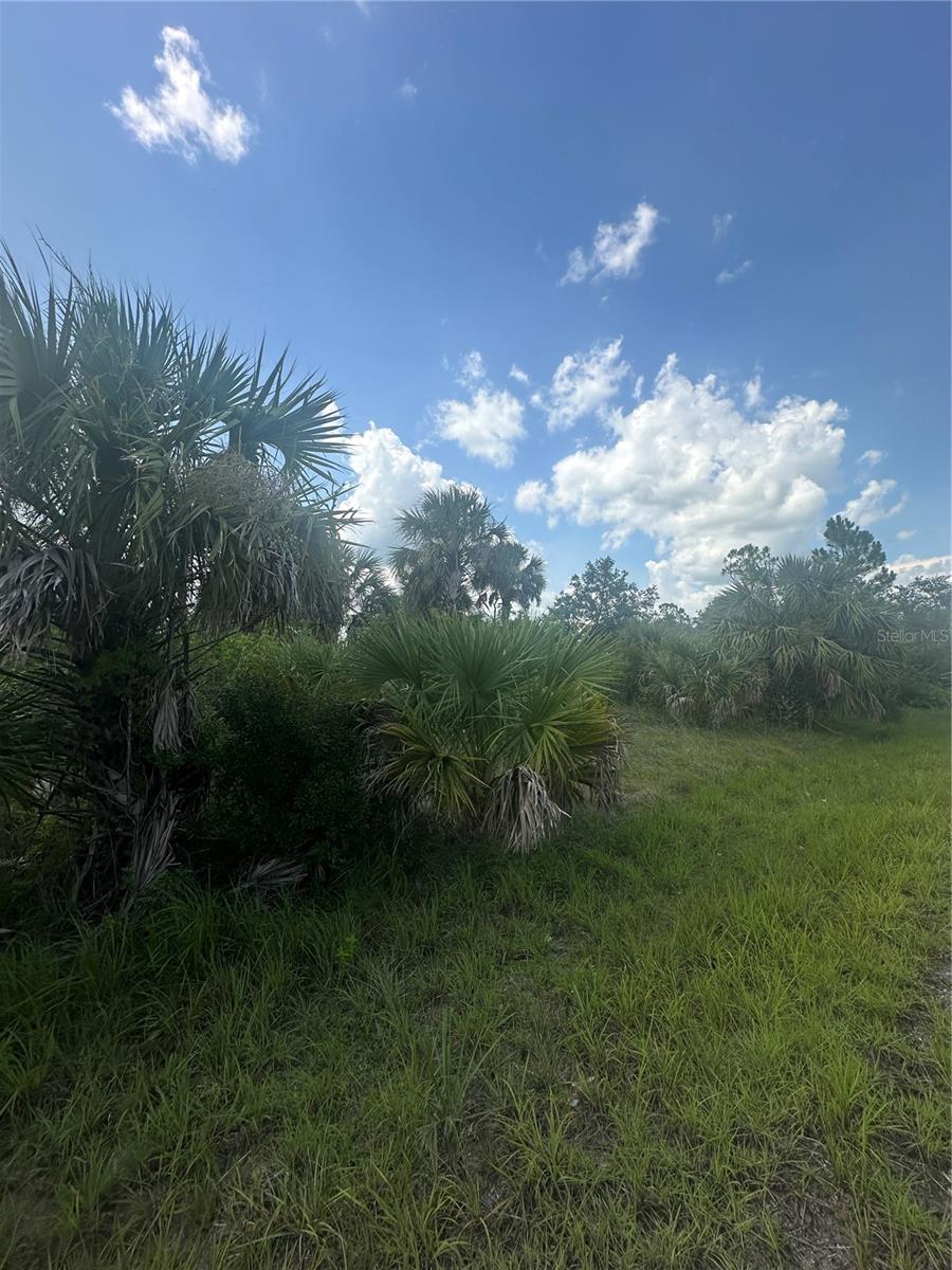 PORT CHARLOTTE SUB 46 - Land