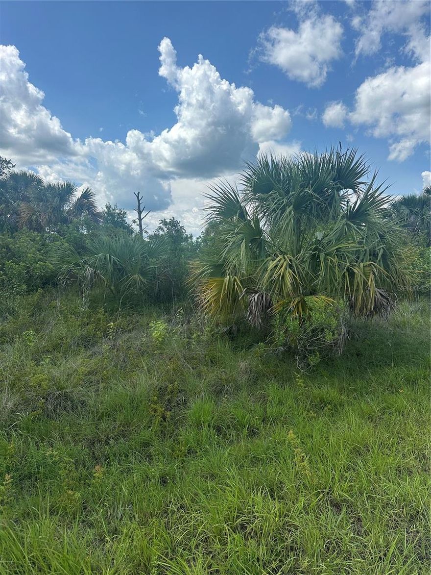 Exceptional Opportunity in North Port Build Your Dream in a Booming Florida Hotspot! This lot and the adjacent lot next to it (Lot 22) is also for sale separately-double the opportunity. Seize the chance to own a prime residential lot in the rapidly growing and highly sought-after city of North Port, Florida-one of Southwest Florida's most exciting and dynamic communities. This peacefully located parcel offers no HOA fees, no deed restrictions, and no CDDs, giving you the freedom to design and build exactly what you envision. Plus, as of May 2025, this lot is not listed on the North Port Scrub Jay map (buyer to verify during due diligence). Just minutes from I-75, this ideal location ensures easy commuting while keeping you close to everything-shopping, dining, top-rated schools, parks, golf courses, and world-class fishing. With new construction all around, it's clear that North Port is on the rise, making this the perfect time to invest in your future. Love the beaches? You're in luck-stunning Gulf Coast beaches are just a quick 25-minute drive away, where you can unwind with the sand between your toes and breathtaking sunsets at your fingertips. Sports fans will appreciate being near MLB Spring Training stadiums to catch the games. Whether you're planning to build your forever home or looking for a savvy investment, this property offers unlimited potential in a thriving area. Need help getting started? Local builder referrals are available upon request. Don't miss out on this incredible opportunity in one of Southwest Florida's most exciting and up-and-coming cities!