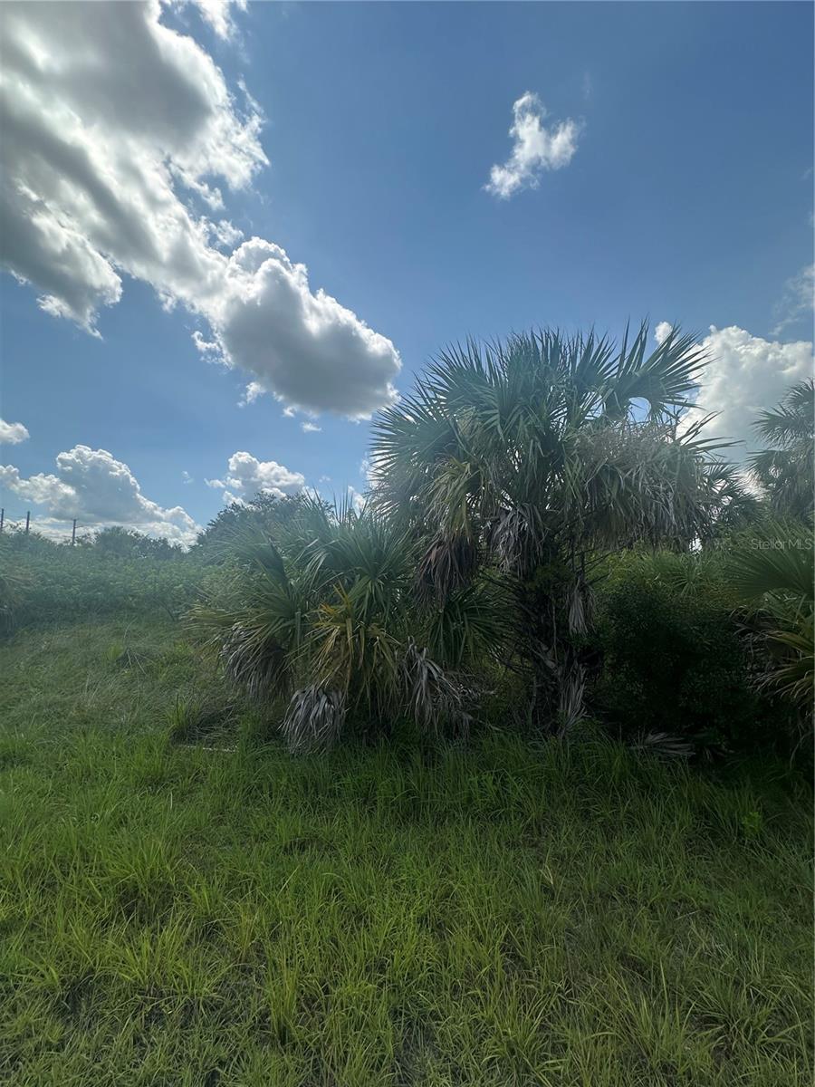 PORT CHARLOTTE SUB 46 - Land