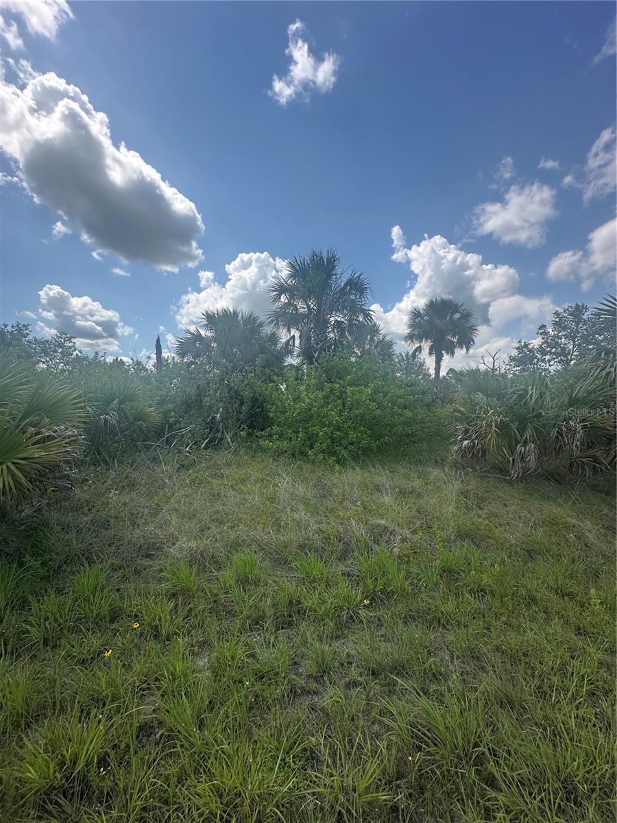 PORT CHARLOTTE SUB 46 - Land