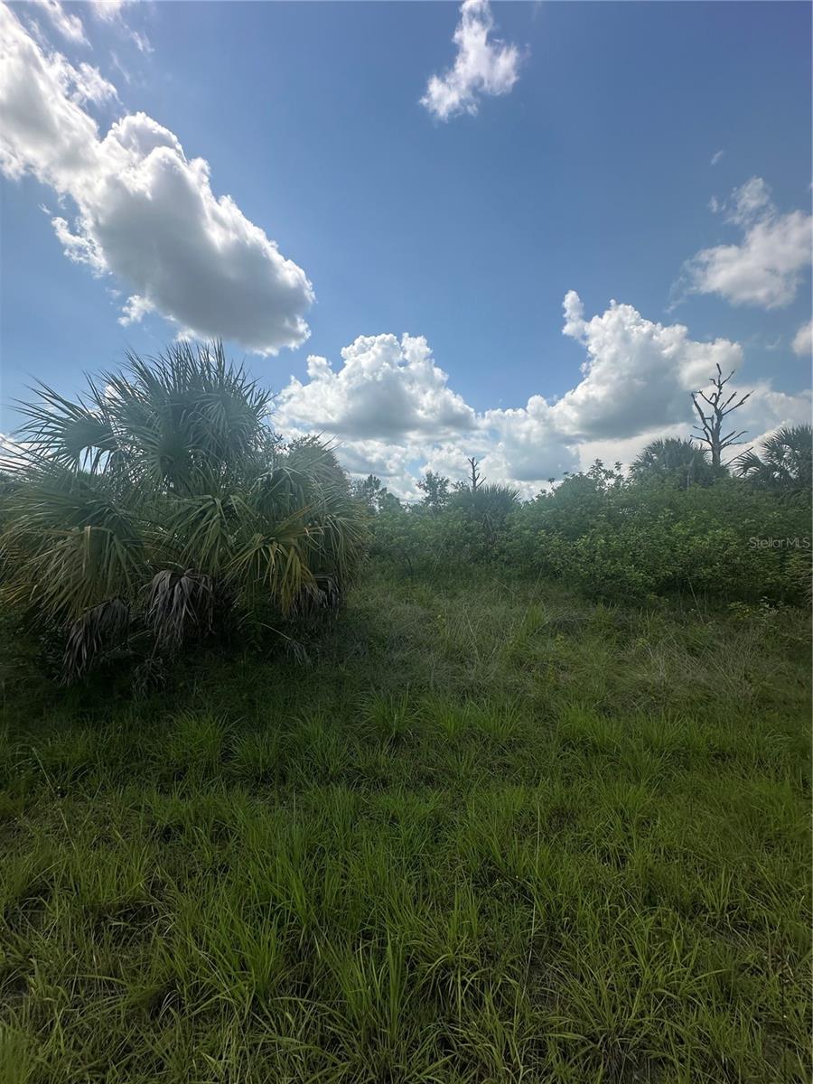 PORT CHARLOTTE SUB 46 - Land