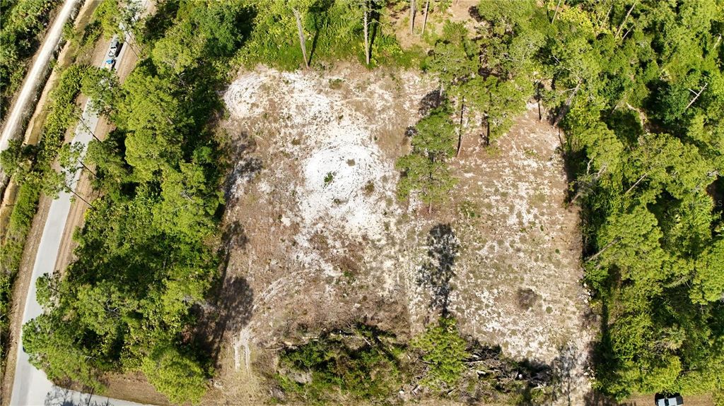 Photo of 2005 Columbus Avenue, Alva, FL 33920 (MLS # OM700307)