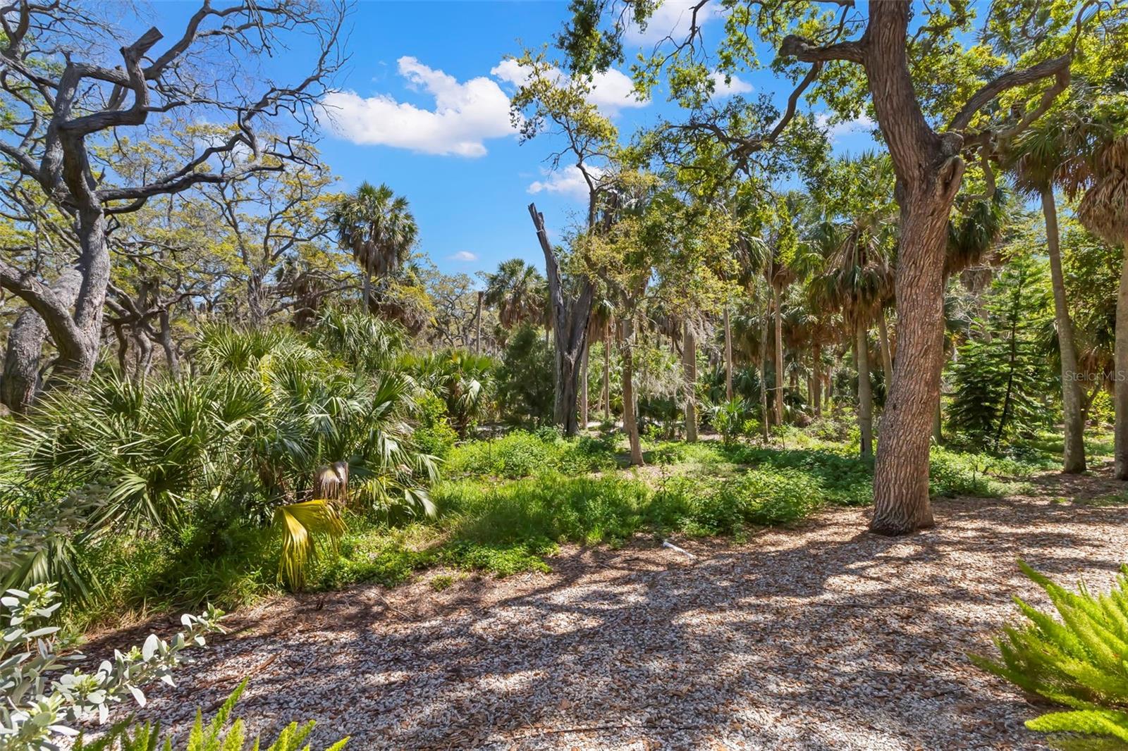 COVE AT LOGGERHEAD MARINA - Residential
