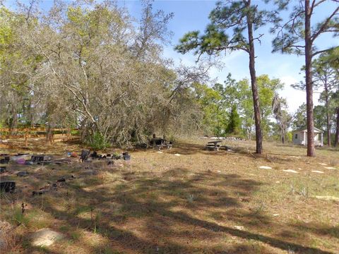 Tiny photo for 2515 E Hampshire Street, Inverness, FL 34453 (MLS # G5110437)