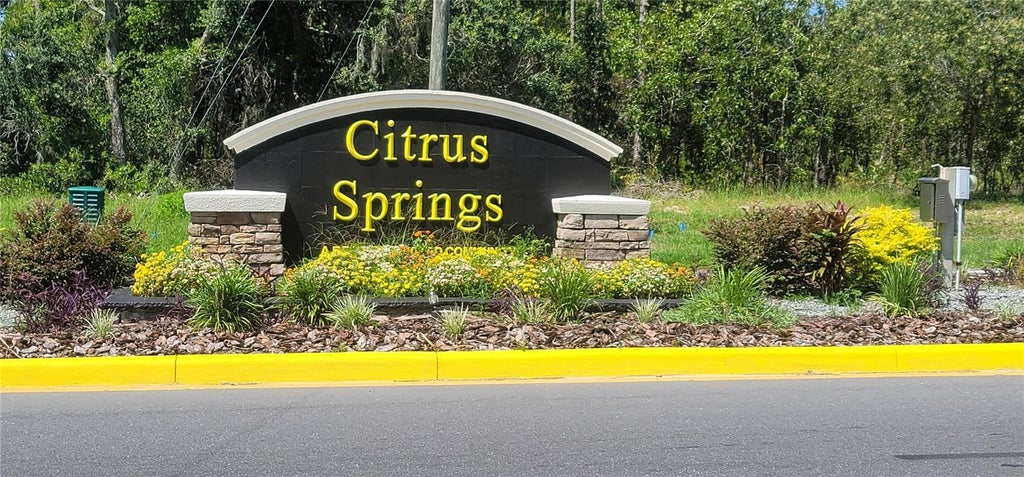 Photo of 10339 N G Martinelli Boulevard, Citrus Springs, FL 34433 (MLS # L4963813)