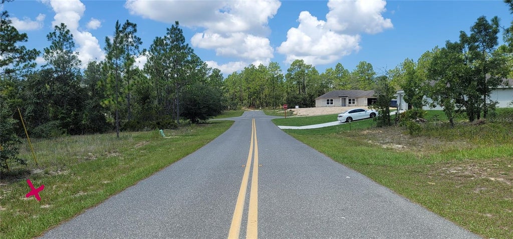 Photo of 10339 N G Martinelli Boulevard, Citrus Springs, FL 34433 (MLS # L4963813)