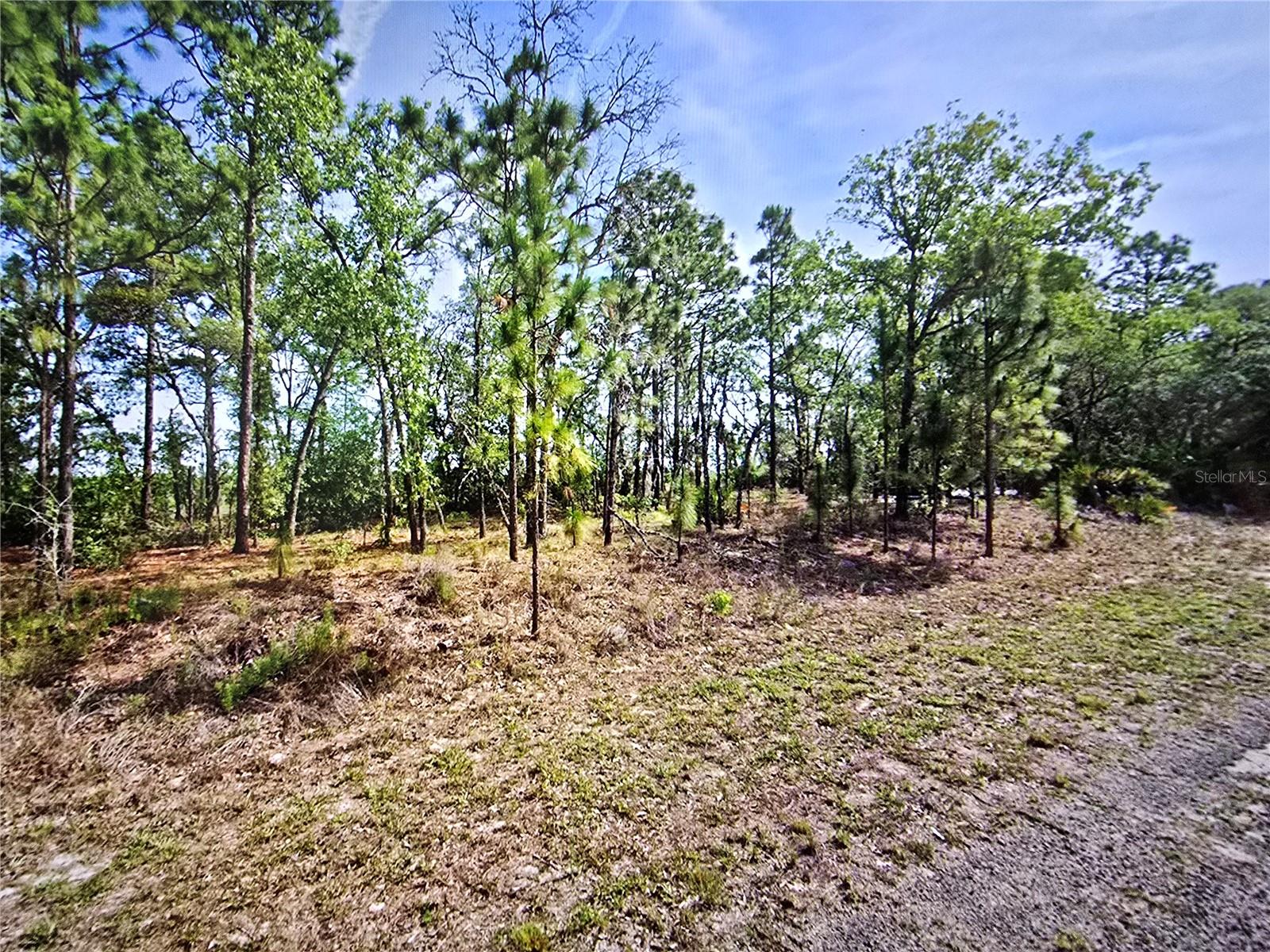 6745 N DARLINGTON DRIVE