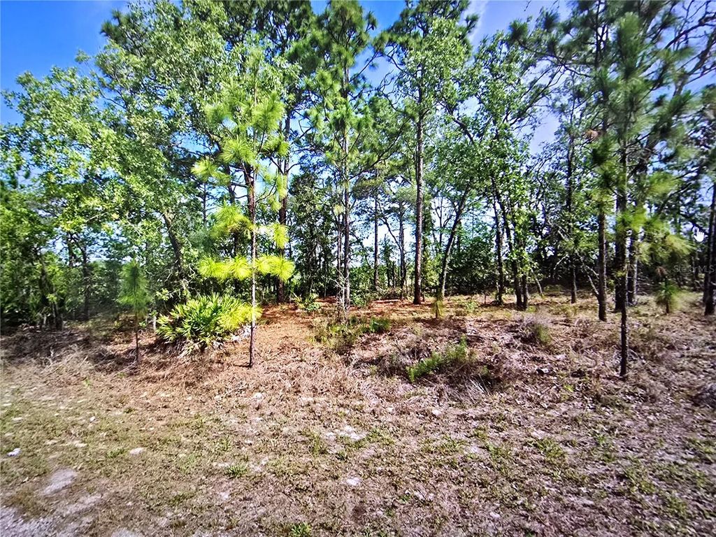 Photo of 6745 N Darlington Drive, Dunnellon, FL 34434 (MLS # OM704442)