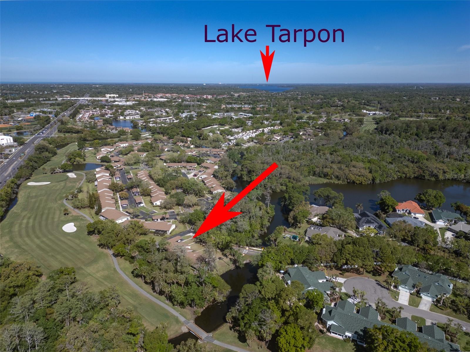 EAST LAKE WOODLANDS CLUSTER HOMES - Residential