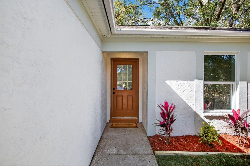 Photo of 228 Regal Park Drive, Valrico, FL 33594 (MLS # TB8471860)