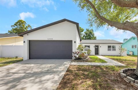 12909 PINEWAY DRIVE LARGO FL 33773