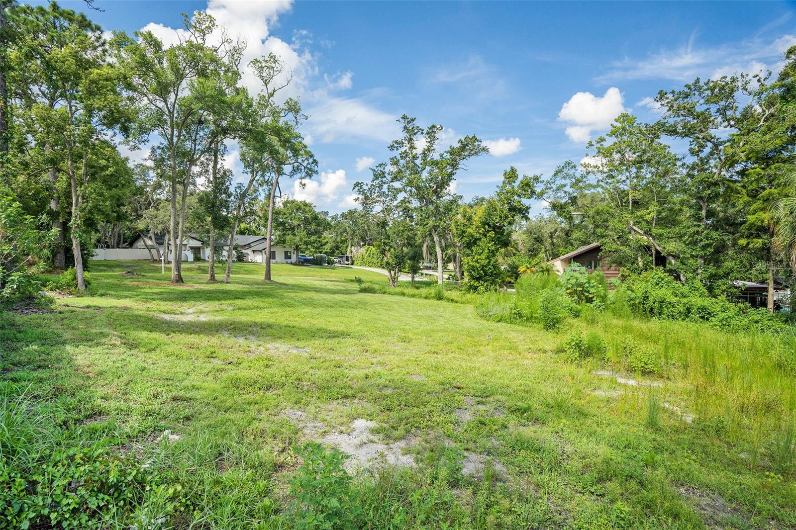 SPANISH WOODS - Land