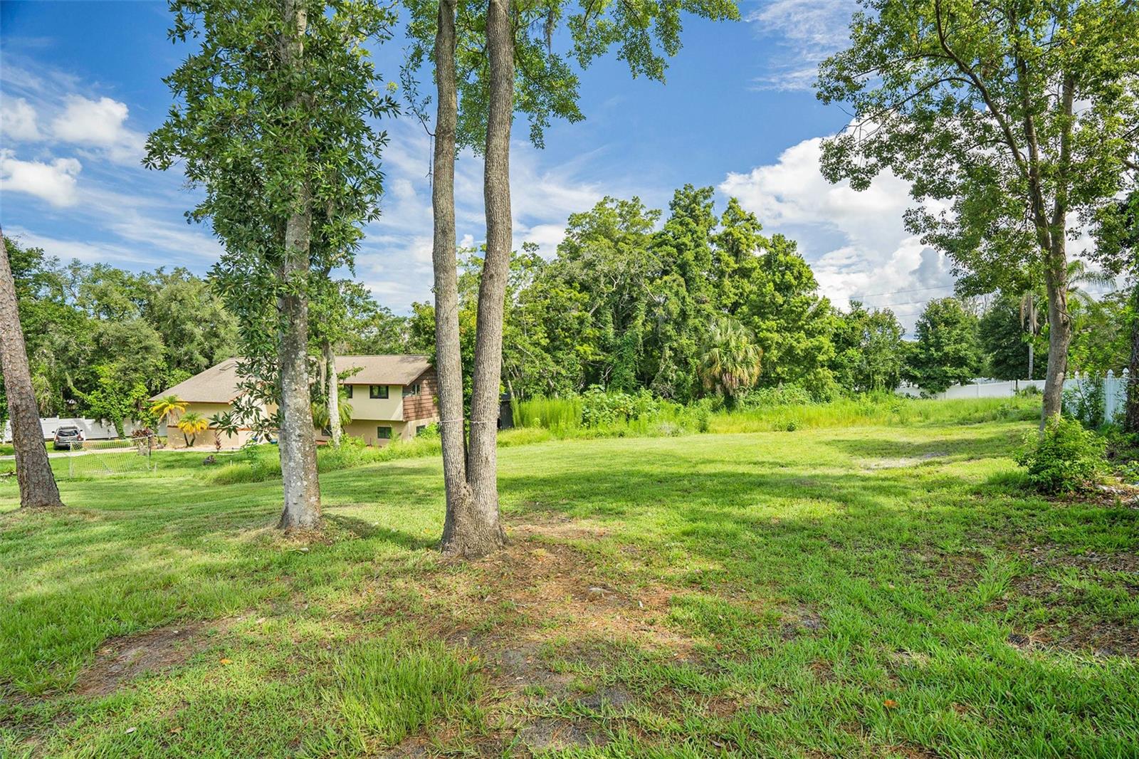 SPANISH WOODS - Land