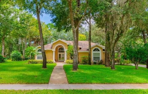 A home in LITHIA