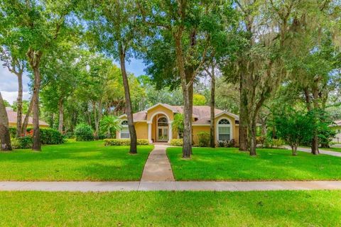 A home in LITHIA