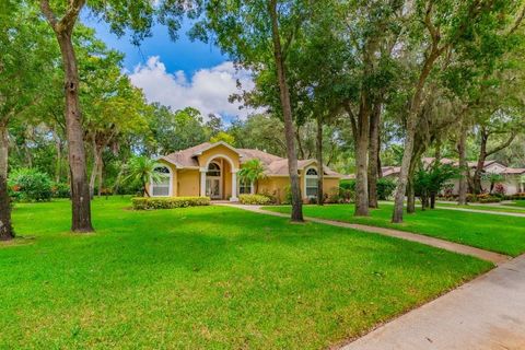 A home in LITHIA