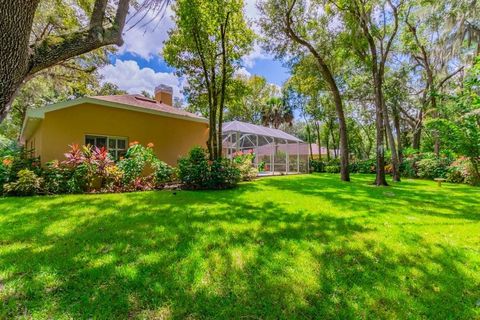 A home in LITHIA