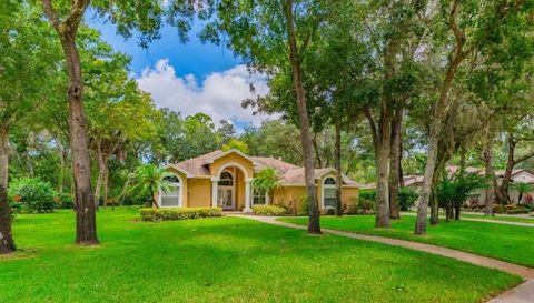 A home in LITHIA