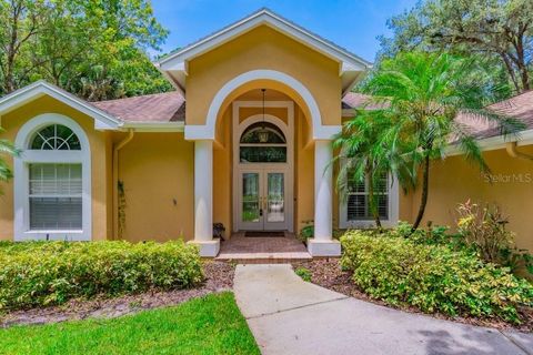 A home in LITHIA