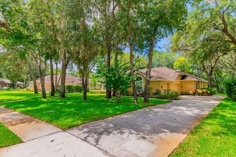 A home in LITHIA