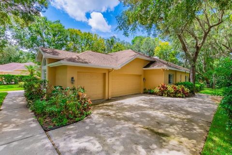 A home in LITHIA