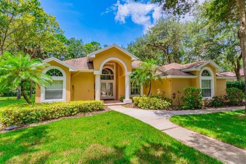 A home in LITHIA