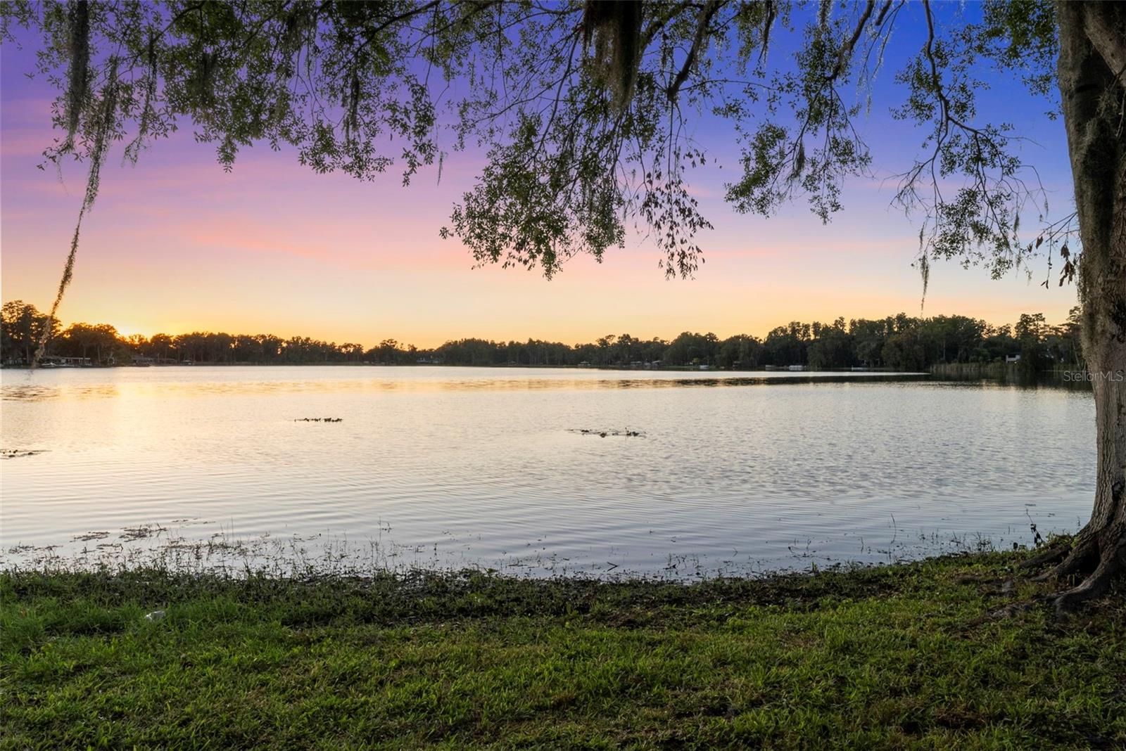 RESERVE AT LAKE LECLARE - Residential
