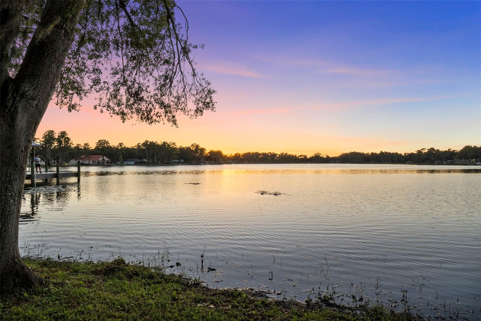 RESERVE AT LAKE LECLARE - Residential