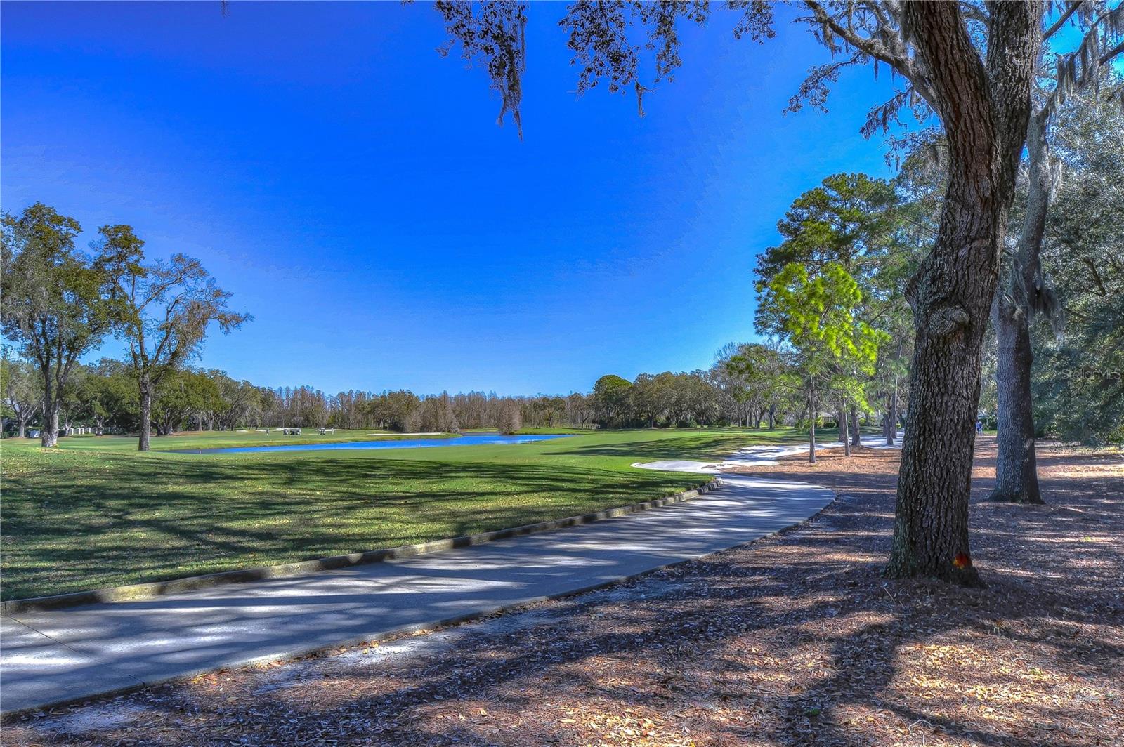 AVILA UNIT 1 - Residential