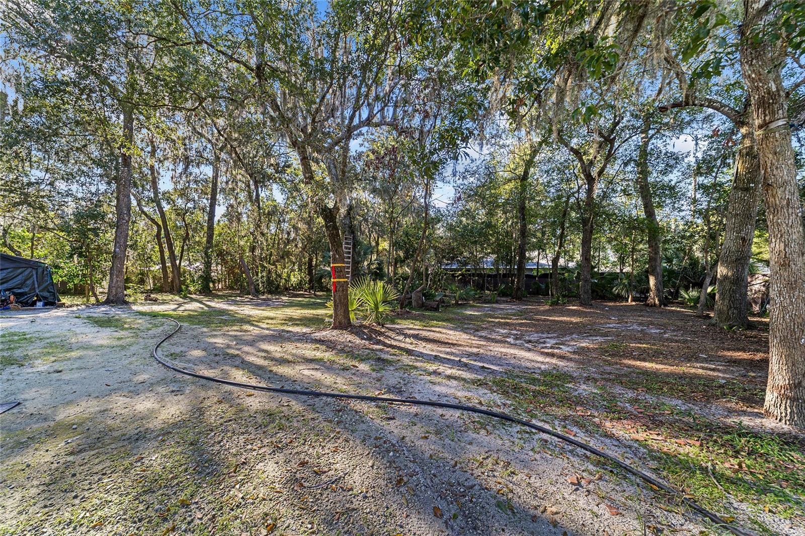 SILVER SPGS SHORES - Residential