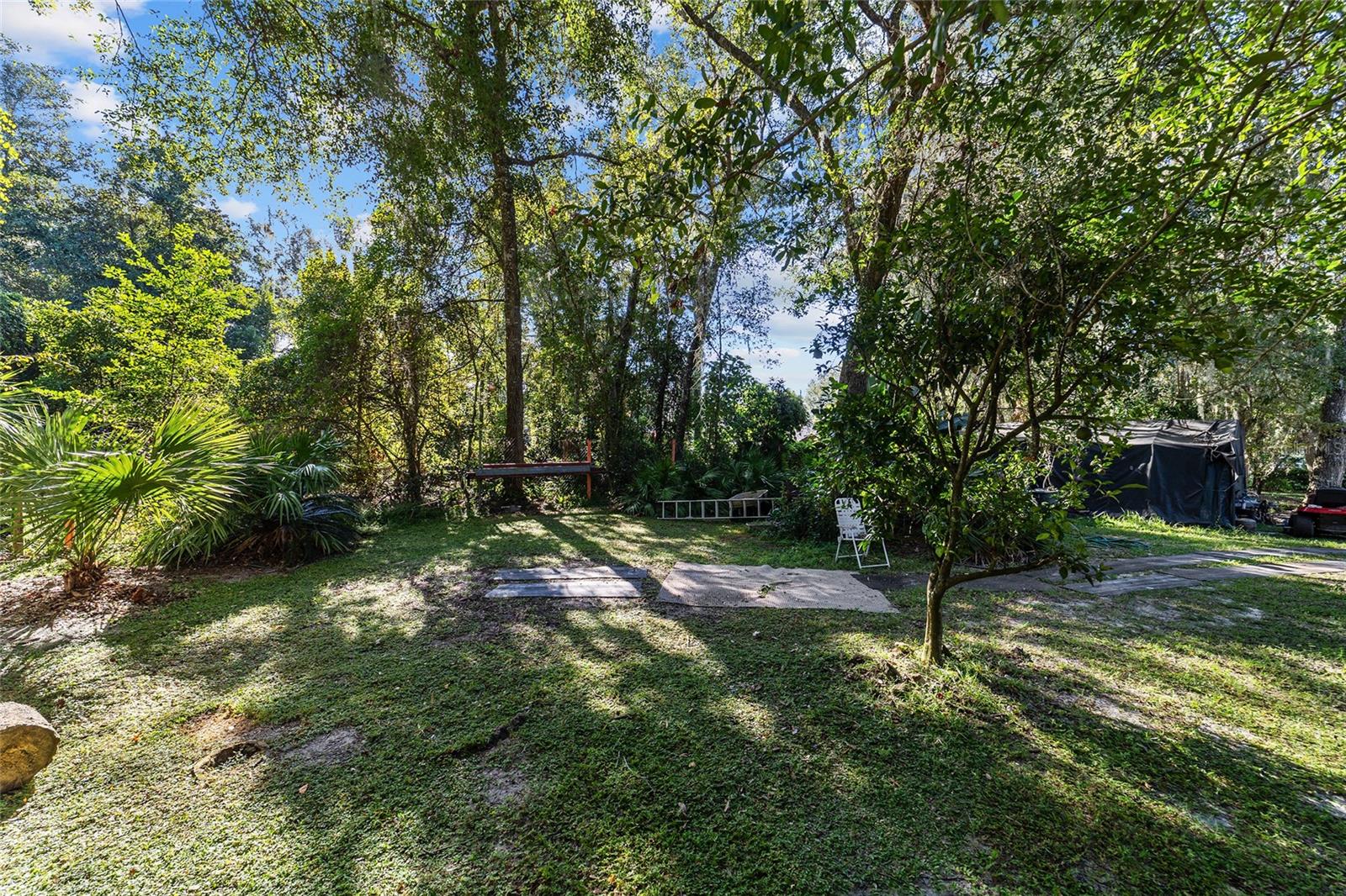 SILVER SPGS SHORES - Residential
