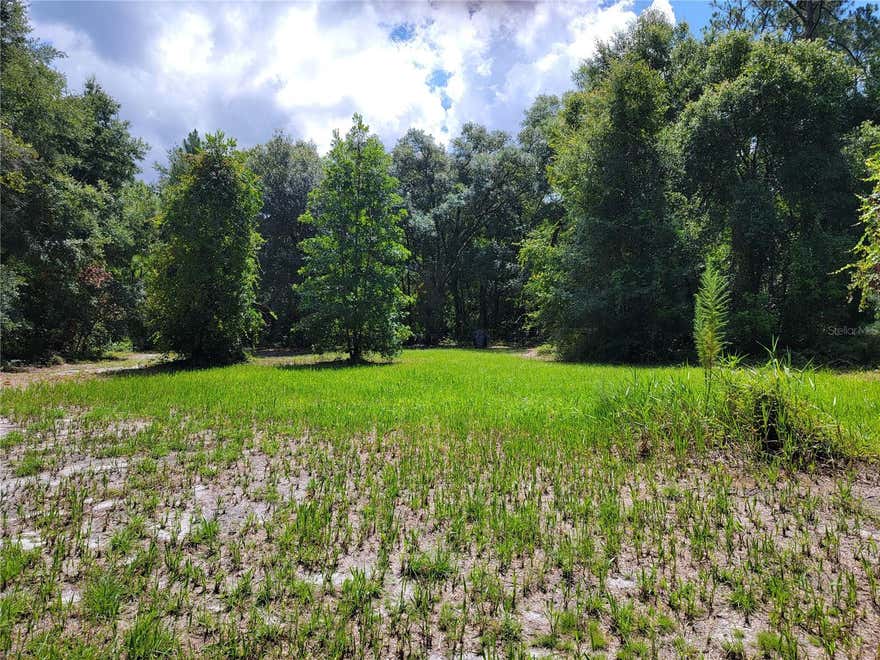 Under contract-accepting backup offers. NOW AVAILABLE — Nearly 18 Acres of Prime Hunting & Recreational Land
Rare opportunity to own almost 18 acres made up of 4 lots in a highly desirable hunting and outdoor recreation area. This is the property where the owner harvested the #3 BOTY FL in 2024 and is #1 Buck in Marion Co. FL Buck Registry currently, featured in Woods & Water Magazine’s September 2025 Buck of the Year Edition.
The land offers excellent wildlife activity, including deer, wild boar, turkey, and quail, with game photos available. (see photos and attachment's) A major advantage is that the property adjoins thousands of acres to the north owned by the State of Florida / St. Johns River Water Management District, creating a strong natural wildlife corridor along a vast protected conservation acreage with limited public access and restricted development.
The property includes deeded ingress and egress from SE Hwy 464C and is conveniently located near Lake Weir, Gator Joe’s, and The Dam Diner on the Ocklawaha River. Only about 20 minutes to Belleview or Lady Lake.
In addition to outstanding hunting, this is an ideal spot for weekend getaways, camping, family outdoor trips, and enjoying Old Florida recreation.  Priced to sell—don’t miss this unique opportunity!
