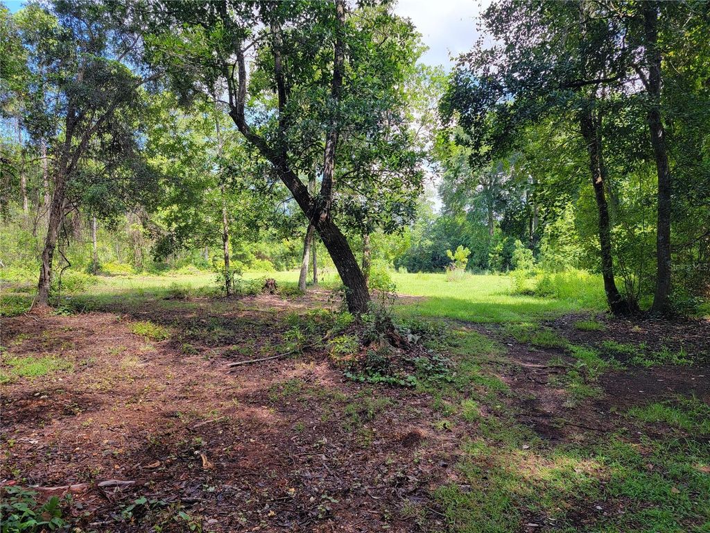 Photo of 0 SE 464c Highway, Ocklawaha, FL 32179 (MLS # G5112813)