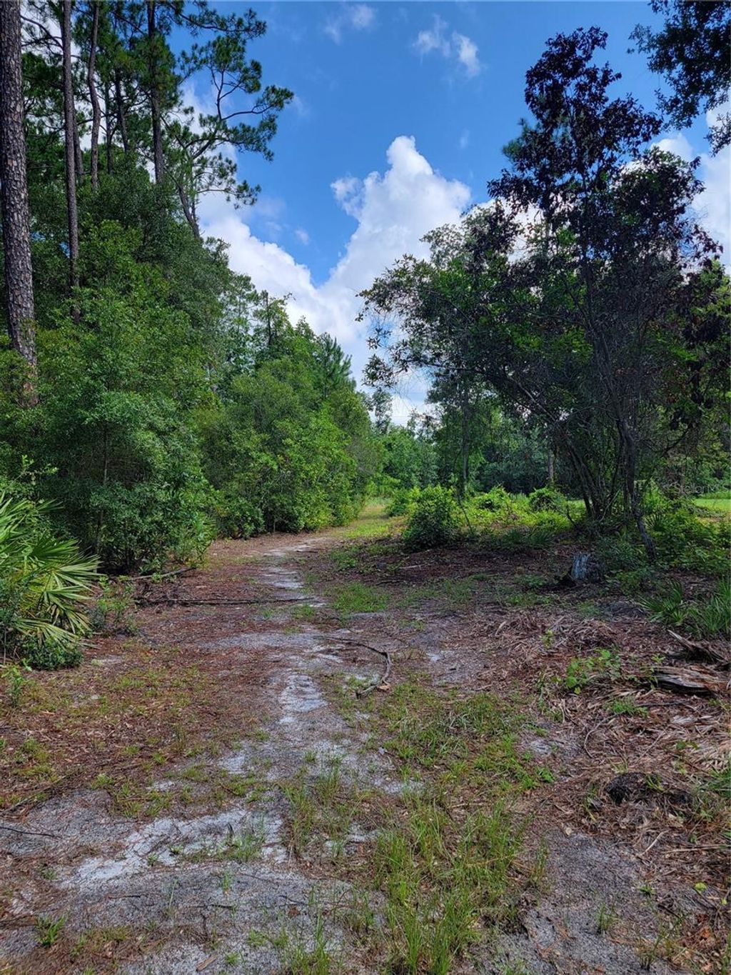 Photo of 0 SE 464c Highway, Ocklawaha, FL 32179 (MLS # G5112813)