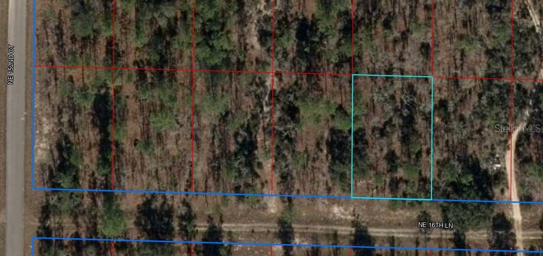 Check out this GREAT .23 acre parcel in beautiful Williston Highlands Golf & Country Club Estates. Well located for a new build or just to have and hold onto, you'll LOVE the area.