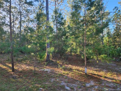 A home in DUNNELLON