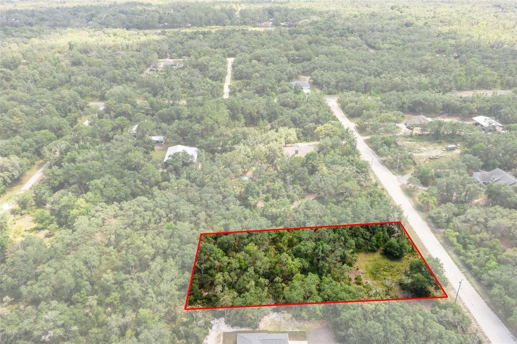 Photo of 8184 Chimney Rock Drive, Webster, FL 33597 (MLS # W7875454)